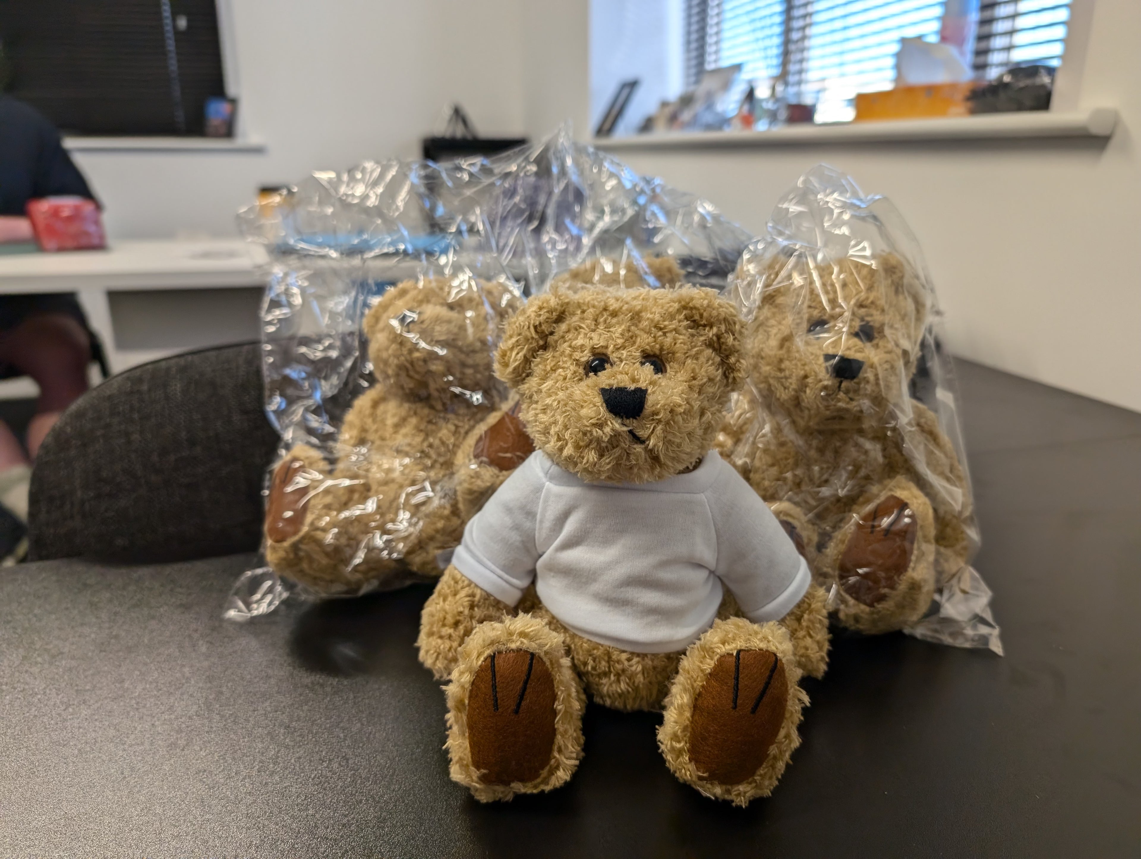 Personalised Teddys