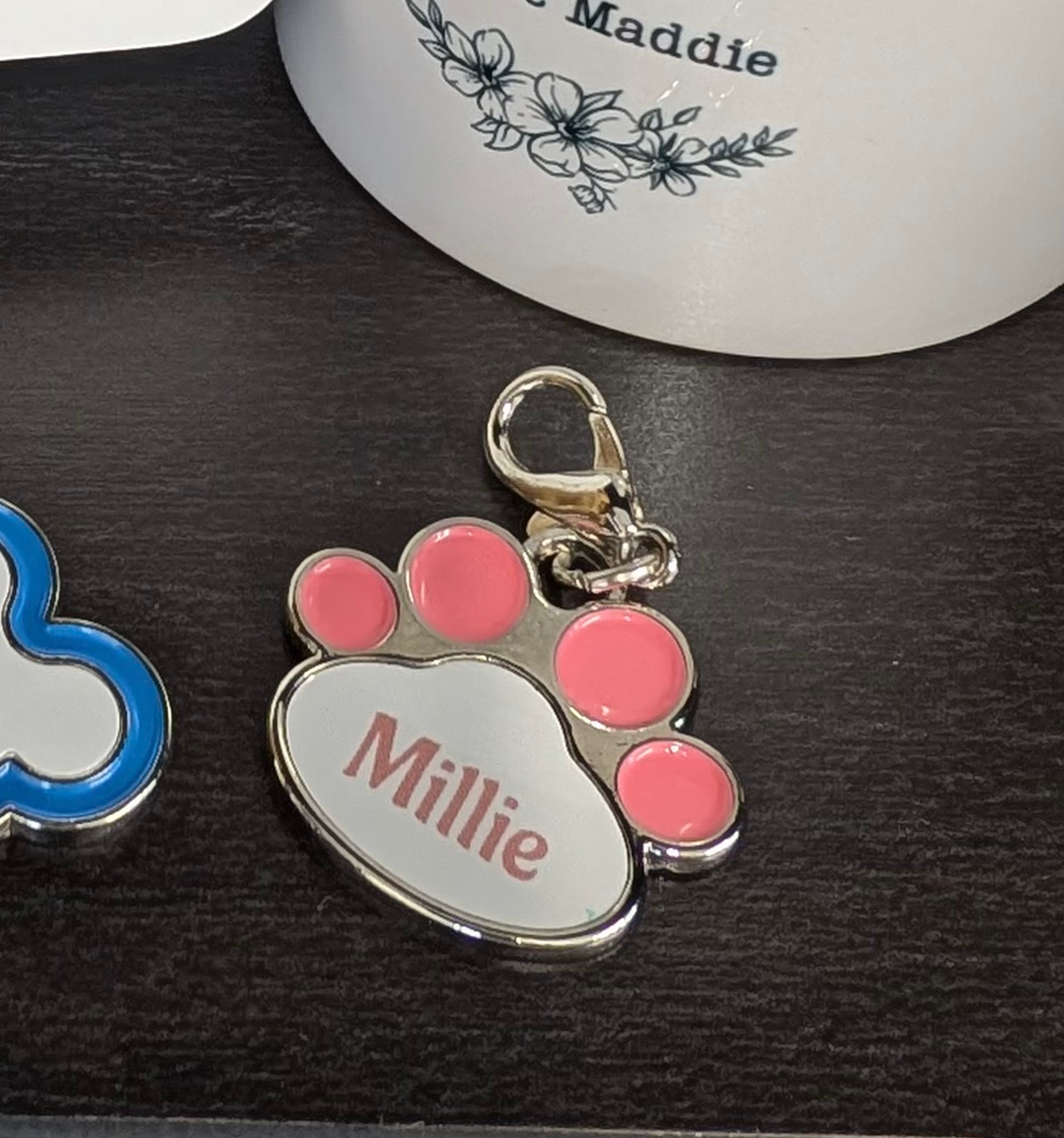 Personalised Dog Tags – Bone & Paw Print Shapes image 3